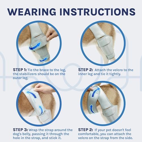 Image of Dog Knee Brace, Support for Large and Small Dogs with ACL, CCL, Cruciate Ligament Injuries, Patella Dislocation, or Osteoarthritis for Both Back and Front Legs - Color: Silver, Size: S