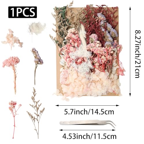 1 Pack Flores Secas Naturales Mixtas para Manualidades miniatura 2