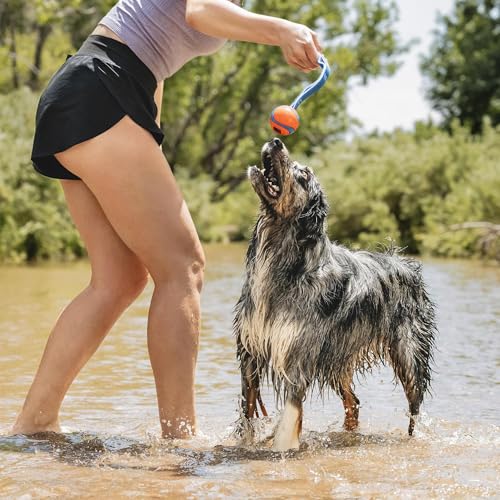 Chuckit! CH232201 Ultra Duo Tug Medium