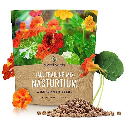 Nasturtium Seeds Mixed Colors Extra Large Packet Over 200 Open Pollinated Non-GMO Flower Seeds Tropaeolum majus