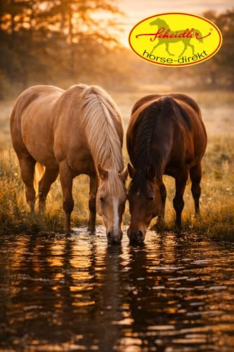 Scheidler horse-direkt KOKOS-Sticks, 23 kg Karton Kokos-Leckerchen, Zahnpflege Snack für Hunde & Pferde-Pellets aus 100% Kokosmark, getreidefrei, glutenfrei, rein natürlich ohne Zusatzstoffe
