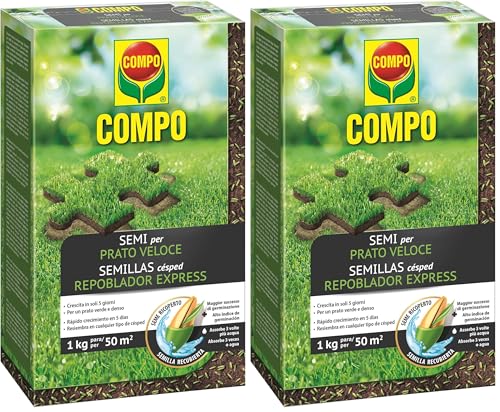 COMPO Semillas de césped repoblador Express, para 50 m², 1 kg, 2357802011 (Paquete de 2)