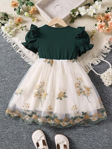 Image of TAGAS Girls' Princess Dress | Girl Dress |Dresses birthdaydress for Babygirls |