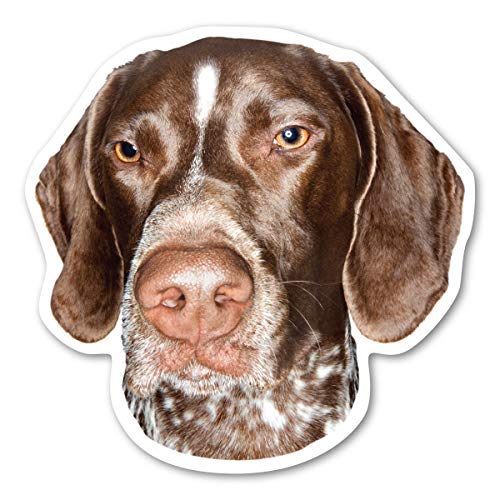Magnet America German Shorthaired Pointer Dog Magnet is 4.875