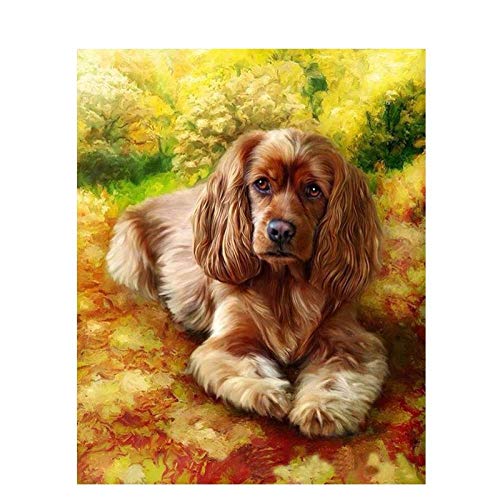 Pintura por Nmeros - Cachorro de pelo largo - DIY Pintura al leo Pintura artstica con pinturas acrlicas y pinceles para adultos, nios y principiantes - 40x50cm (Sin marco)