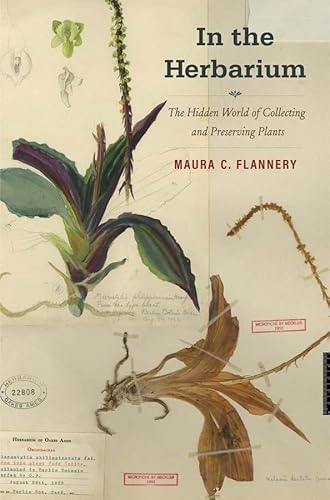 In The Herbarium: The Hidden World Of Collecting And Preserving Plants #TOP13