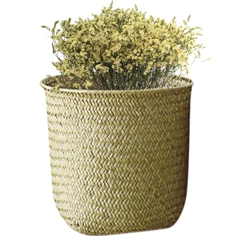 [p҂݂ - Qp܂肽ݎmfBbN[I[KiCU[ | IAN[[bgAsNjbNp̑fpȊCDrp̓VR_ƃz_[