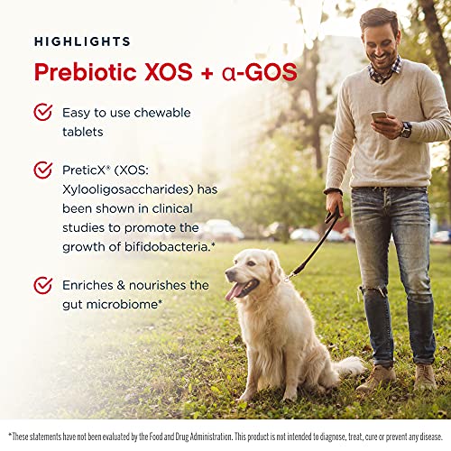 Jarrow Formulas Prebiotic Xos + Gos - 90 Chewable Tablets, Pack Of 4 - Enriches & Nourishes Gut Microbiome - Supports Growth Of Beneficial Bacteria - 120 Total Servings #TOP3
