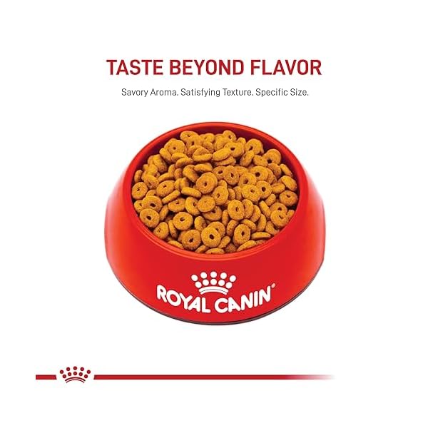 ROYAL CANIN Feline Health Nutrition Spayed/Neutered Appetite Control Dry cat Food, 6-Pound by Royal Canin – Bild 10
