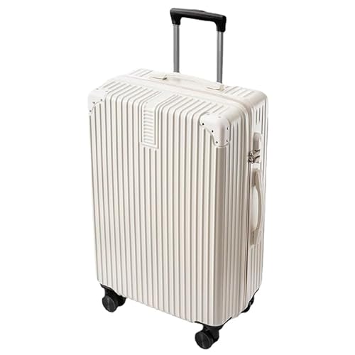 @X[c yʃP[X L[obO @ݕt y ^ É _uLX^[ ϏՌ 360x] 20C` b (D)