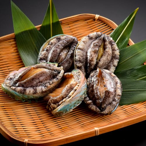 H삳 ڈ΃Ar yⓀz 󂠂 Ⓚ {B KKĂ BBQɂIXXyⓀցz (ڈ΃Ar Ⓚ 6)