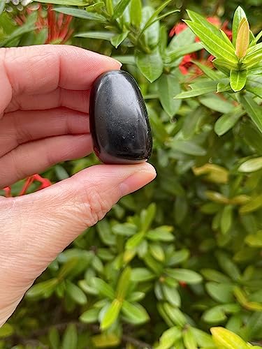 Image of GAF TREASURES 1 /2 LB Jet Tumbled Stones, Polished Jet Gemstone, Jet Healing Crystals (Jet)