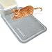 Cat Litter Mat by PetsN'all - Catch all Easy to Clean Litter Box Mat - Gray, Extra Large (35.5 x 24"/90 x 60 cms)