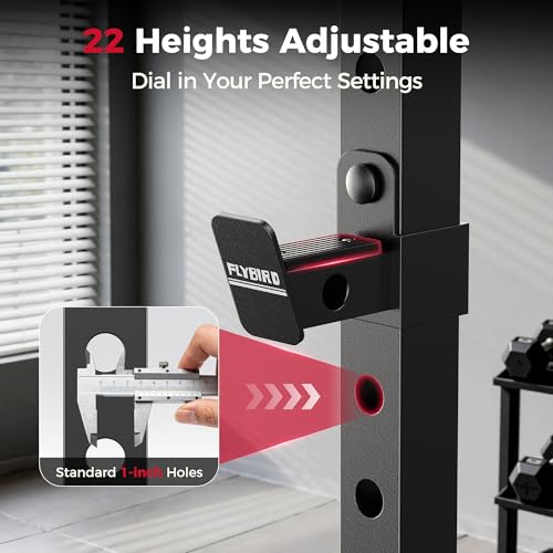Image of FLYBIRD SR1 Squat Rack, Adjustable Power Rack for 6FT /7FT Barbells