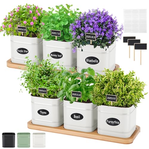 LemonRoad 6 Pcs Indoor Herb Planter Window Herb Pots for Kitchen with Drainage Hole and Bamboo Tray...