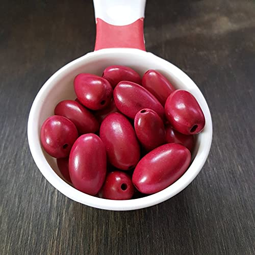 Tagua Nut Oval Beads Red 20-25x10-15mm Pkg of 12