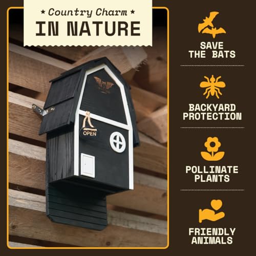 Image of WildYard Big Bat Barn Junior - 2 Chamber, Black, Up to 50 Bats, Preassembled