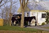 Historic Pictoric Lancaster, PA Photo - Amish Horse, Buggy, and Family at a Small Home in Pennsylvania - 12in x 8in