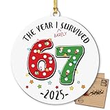 Funny Teacher 67 Ornament, The Year I Barely Survived 6 7 Ornament, Christmas Decor 2025, Six Seven Ornaments for Tree, Teacher, Funny Ornaments for Adults, Xmas Stocking Stuffer