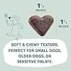Shameless Pets Soft-Baked Dog Treats, Bananas for Bacon - Natural & Healthy Dog Chews for Skin & Coat Support with Omega 3 & 6 - Biscuits Baked & Made in USA, Free from Grain, Corn & Soy - 1-Pack #3