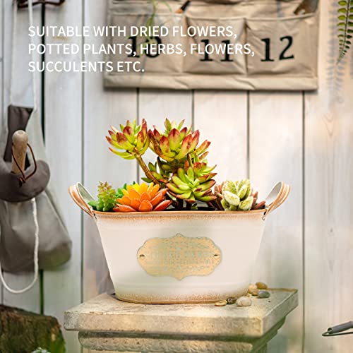 Ashlyric Vintage Style Metal Planters，Rustic Country Style Iron Flower Pot - Oval Garden Succulent Container With Handles - Pink #TOP2