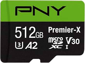 Amazon.com: PNY P-SDU512V32100PX-GE 512GB Premier-X Class 10 U3