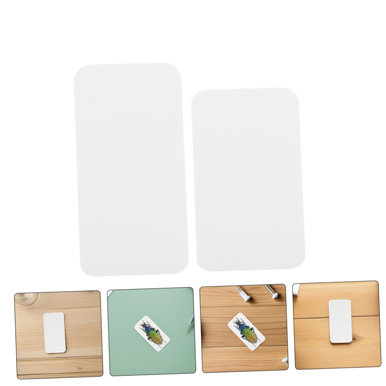 Alipis 180pcs Insect Specimen Mounting Cards with Rounded Corners, Thickened Butterfly Spreading Boards 50x25mm 65x25mm for Precise Positioning, Portable Entomological Display Tools