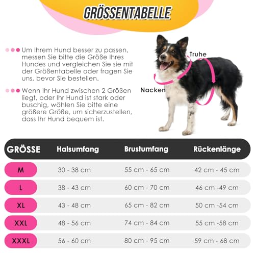 Eyein Hundemantel Winter für Große Hunde, Wasserdicht Hundejacke mit warmem Fleecefutter und Halsband, Winddichter Wintermantel Hund mit Bauchschutz und Verstellbarem Brustriemen, Rosa, XXL