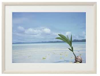 Amazon | Chikuma 額縁 木製額縁 FK A4 木製 ホワイト 05734-5