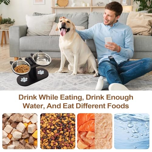 Support réglable pour gamelles pour chiens âgés et familles multi-animaux