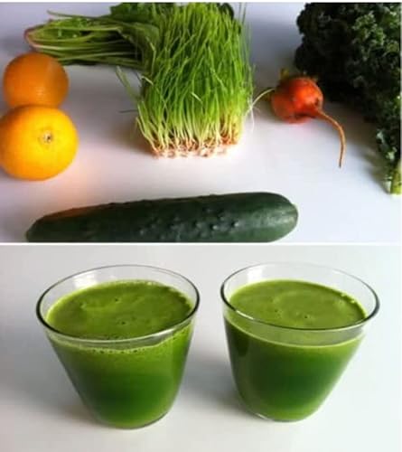 Organic Wheat Grass Seeds for Sprouting Humans and Pets - 100 Grams