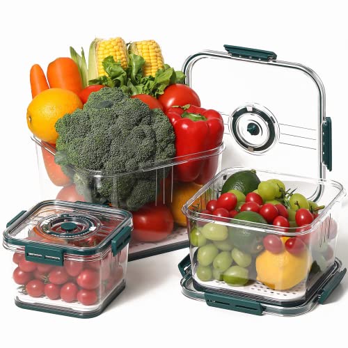 Top 11 Best fruit storage containers Reviews & Buying Guide Maine