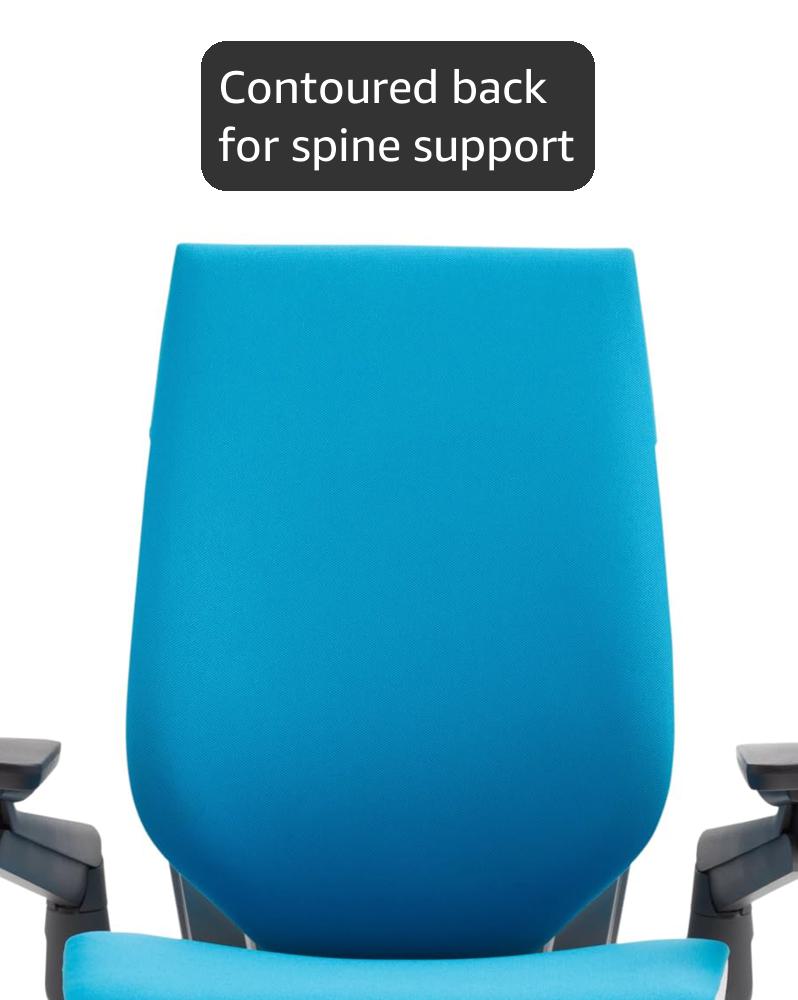 Amazon.com: Steelcase Gesture Office Chair, Carpet Floors, Blue