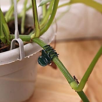 Amazon | Shuiling 誘引クリップ 小 園芸クリップピンチ 100個入り