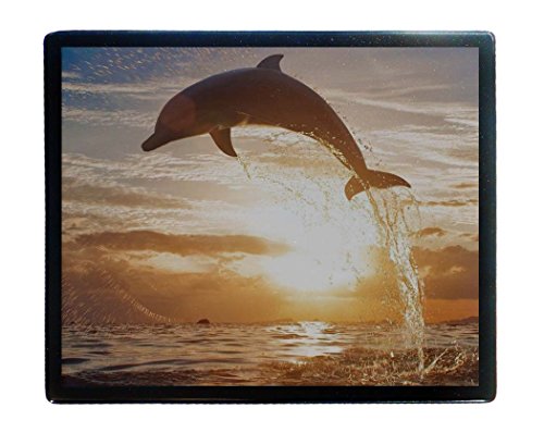 Preisvergleich Produktbild Wetterkapriolen italienischen Delfine 1 Mauspad