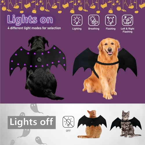 LED Bat Wings for Pets - Halloween Costume with 20 Lights, 4 Modes, Adjustable Fit for Cats & Dogs, Safe Soft Material for Party Trick or Treat (XL Size) #4