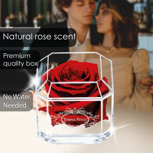Eternal Petals A 100% Real Rose That Lasts Years, Handmade in London, Flowers Delivery Next Day Prime UK - White Gold Solo (Deep Red) - Image 3