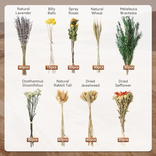 Ramo Grande Boho de Flores Secas Variadas 345 Pzs miniatura 3