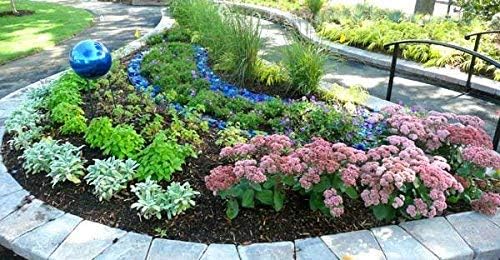Glass (Forest Mix) Green Landscape Glass Fireplace Glass, Landscaping Glass - 10 lbs, Small
