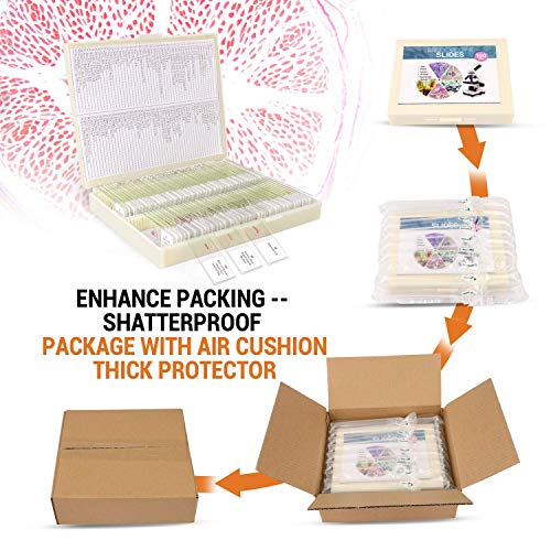 100Pcs Prepared Microscope Slides Set Professional Specimens For Kids Student Homeschool Use #TOP3