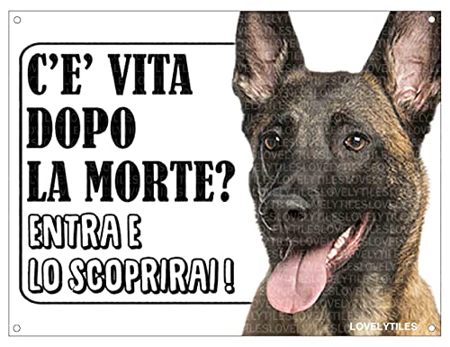Lovelytiles Malinois Pastore Belga ATTENTI al Cane Esiste LA Vita Dopo LA Morte? Targa Cartello INSEGNA (Metallo