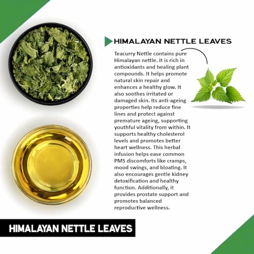 Image of Teacurry Himalayan Nettle Leaf Tea (30 Bags) - Supports Kidney Wellness, Pressure Balance, Digestion & Weight Management | Pure Herbal Tea
