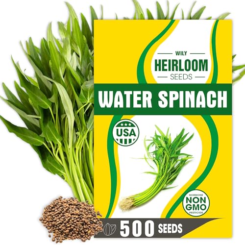 Premium Water Spinach Seeds – 500+ Heirloom Seeds for Growing Ong Choy, Fast-Growing Vegetable for Garden, Balcony, or Backyard – Easy to Grow & High Yield