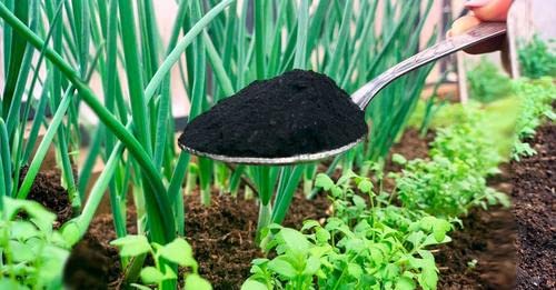 Huminsuren 1kg  Natrlicher Bodenverbesserer & Bodenaktivator fr Rasen,  Garten & Pflanzen  Bio-Dnger fr maximale Fruchtbarkeit & Wurzelwachstum  : Amazon.de: Garten