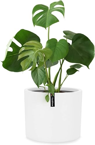 Fox&Fern Large Planter With Water Reservoir - 24 cm High, 25 cm Diameter - Indoor Plant Pot - White Flower Pot
