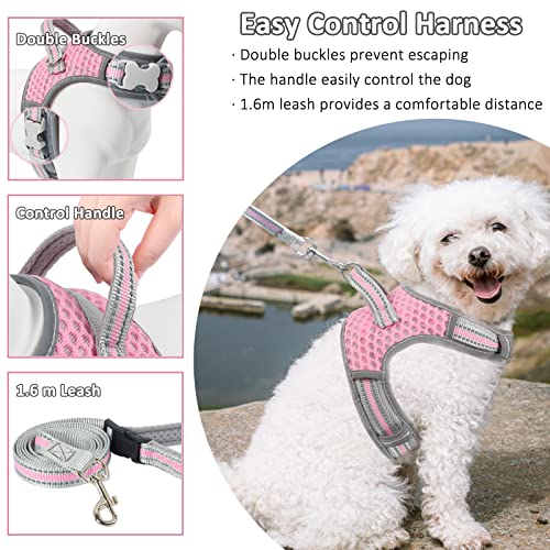 Dog Harness and Leash Set, No Pull Harness for Small Dogs and Cats, Air Mesh Harness with Easy Control Handle and… - Image 7