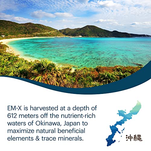 Em-X Gold Natural Sea Salt, Great Tasting, Resealable Bag, Salt For Cooking, Trace Minerals (4 Oz) #TOP2