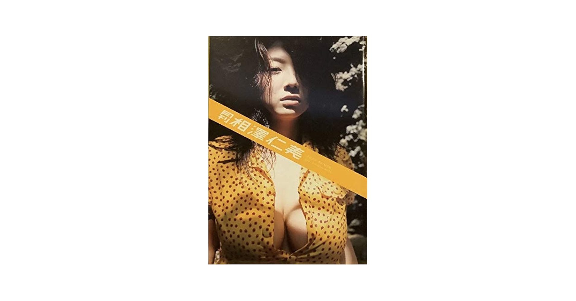 ▲限定1名様▲グラビア▲澤北るな▲切り抜きクリアブック2冊 △限定1名様△貴重△小沢なつき△切り抜きクリアブック2冊の通販