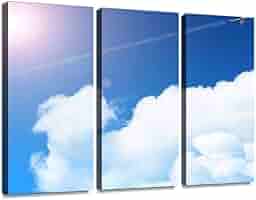 Amazon.co.jp: 空 青空 雲 入道雲 夏 飛行機雲 飛行機 青 スカイ