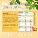 Vital Multivitamin Pulver - mit Zink, Kupfer und Selen - 50 Portionen Vitamine & Mineralstoffe - 300g mit Superfoods und Pflanzenstoffe